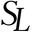 Saint Lys logo
