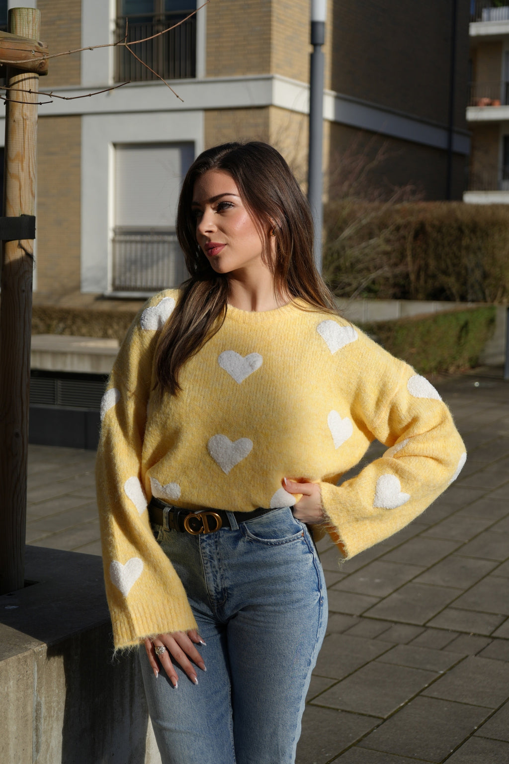 Valentine´s Pullover - Saint Lys